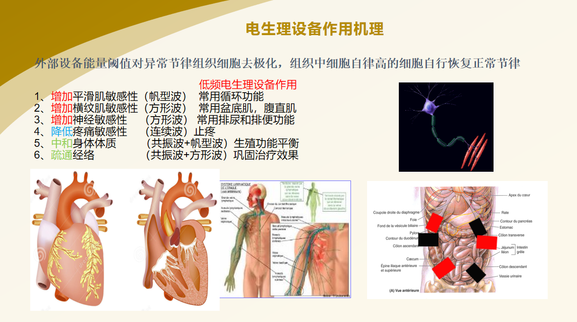 中国非公医协男科专业委员会“经尿道前列腺水蒸气热消融术培训基地”授牌仪式暨2024年前列腺水蒸气热消融术研讨会在武汉举办